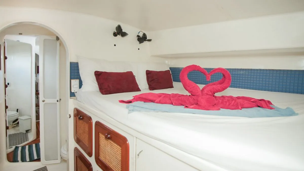 Amadeus — ensuite double cabin