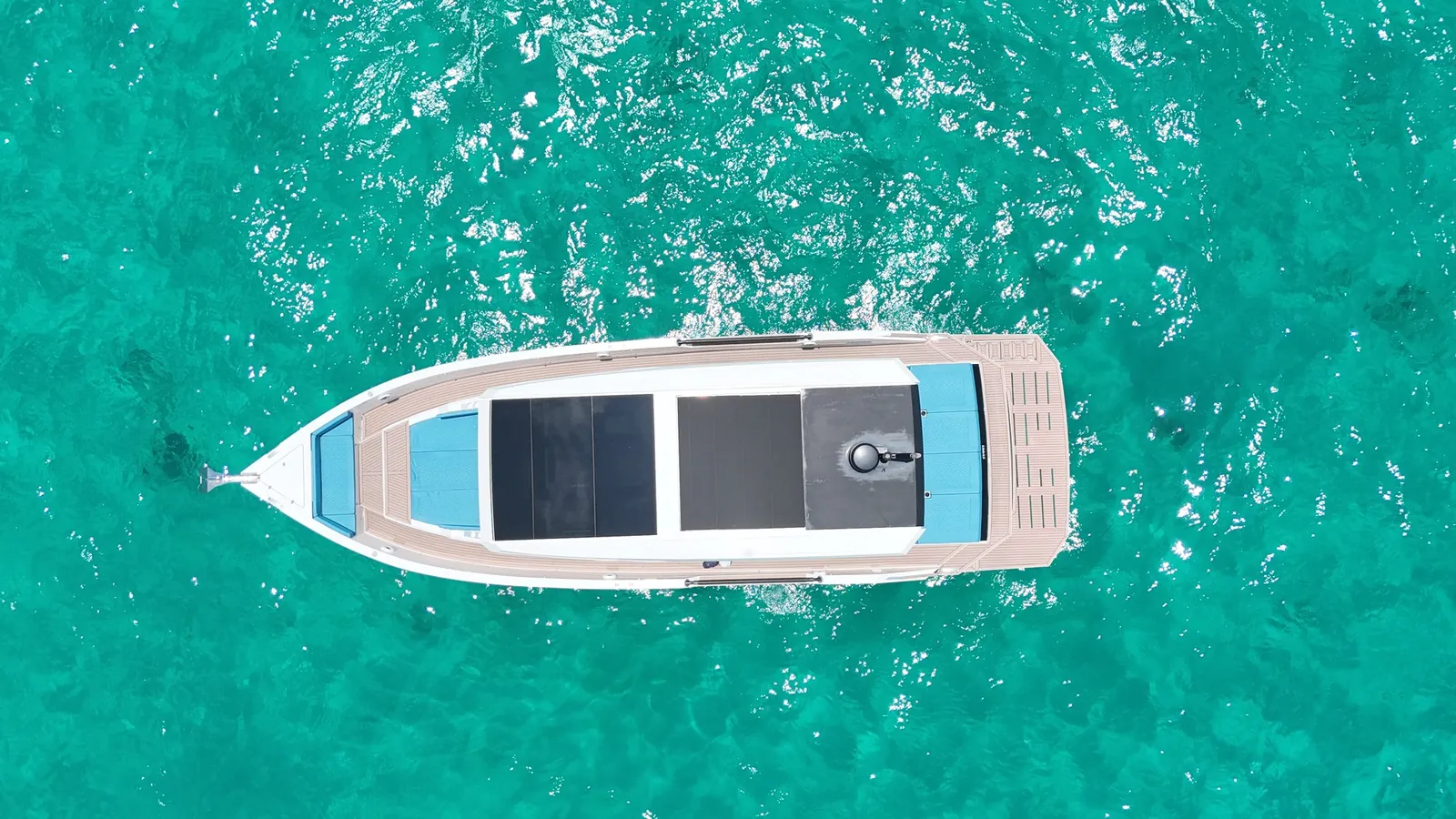 De Antonio D50 — from directly above