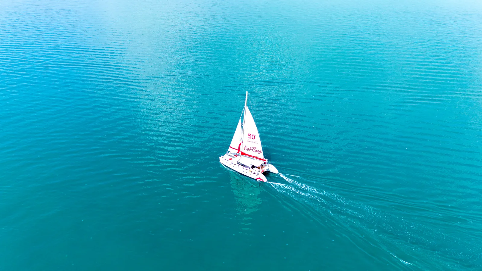 Vela — view 3