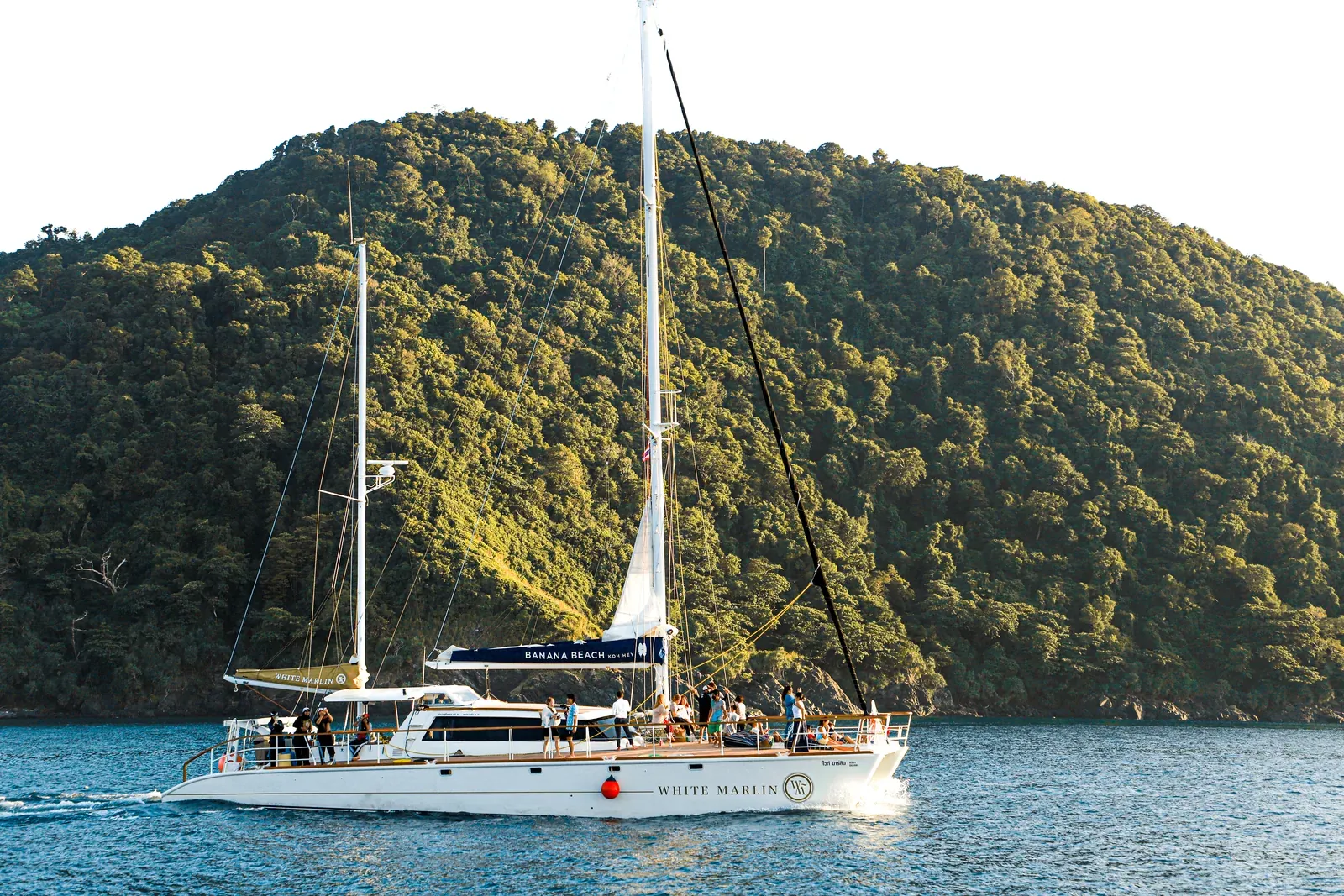 White Marlin — view 6