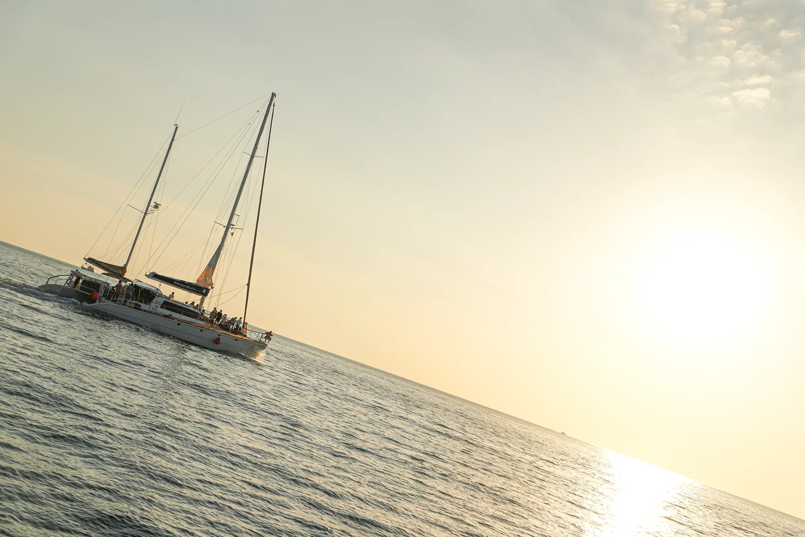 White Marlin — view 7