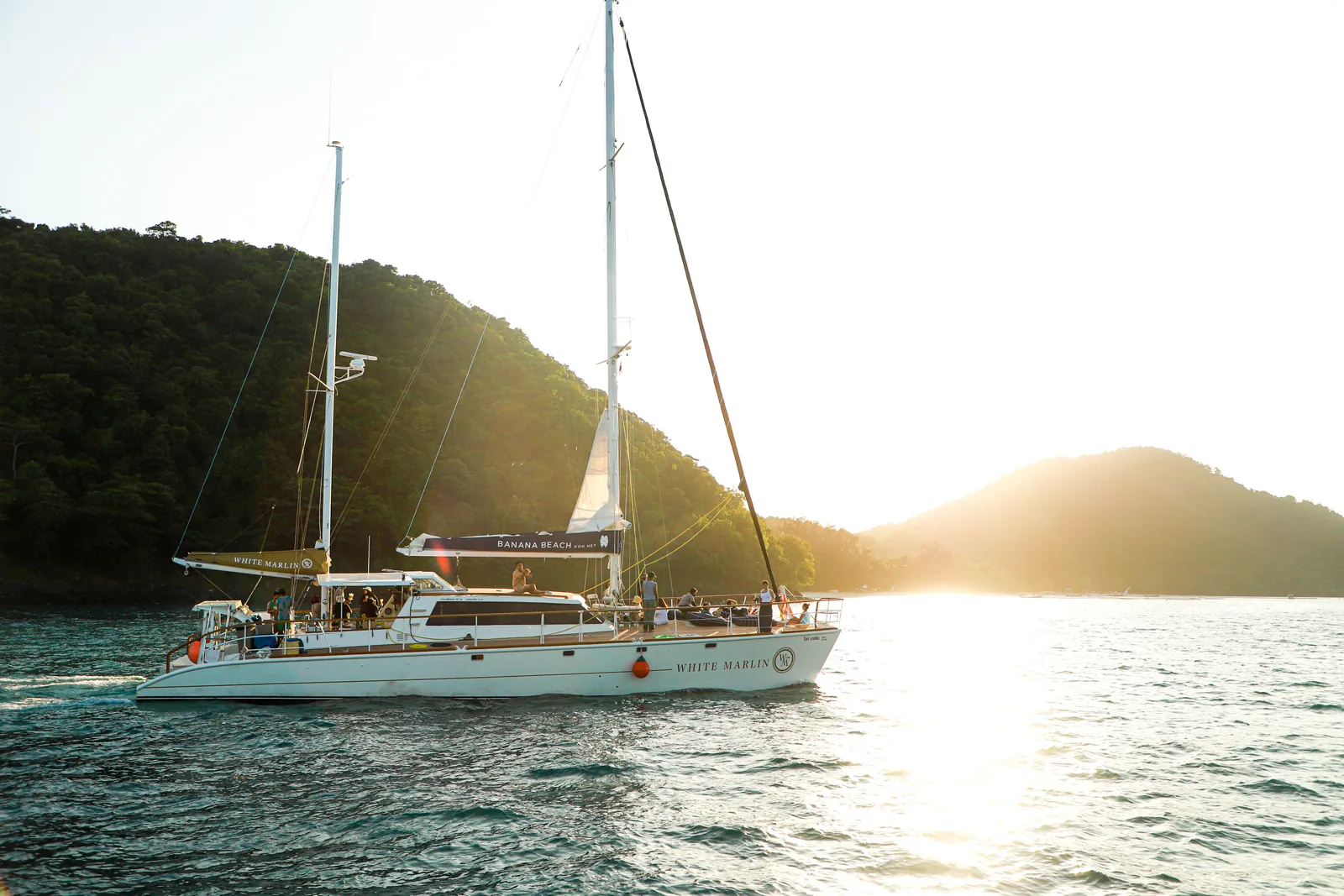 White Marlin — view 10