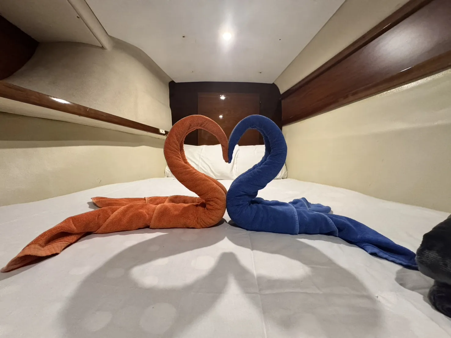 Zoe — double cabin