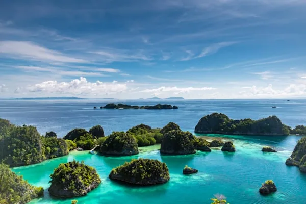 Karst islands scattered across the water at Raja Ampat